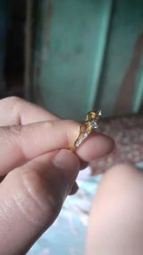 Wilfrid D. review photo