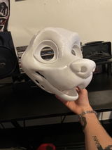 Ryder review photo