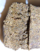 Benjamin review photo