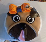 Joanne Morrill review photo