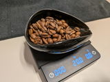 Endter review photo