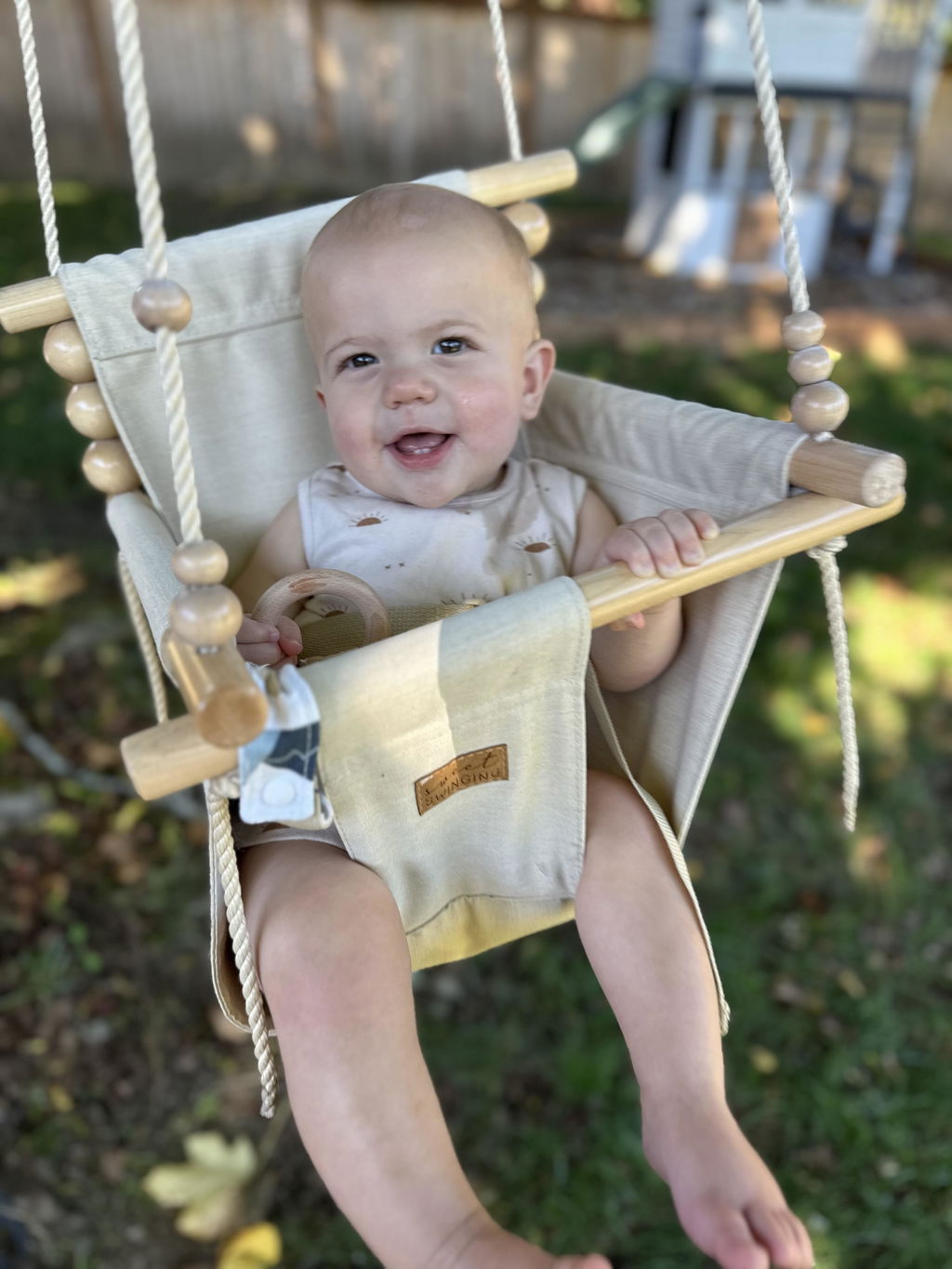Teether or Toy Ring