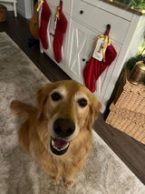 Etsy customer review photo