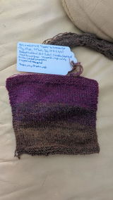 Rose van Dommelen review photo