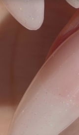 AA review photo