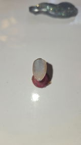 Caro Toth review photo