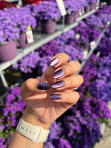 Natashia review photo