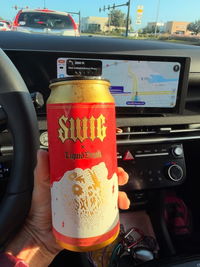 Swig Life