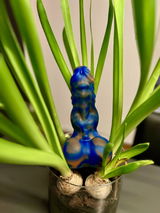 C.G. review photo