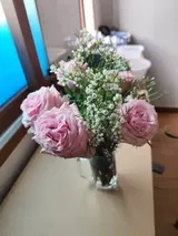 Anonym (KR) review photo