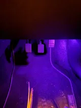 R***a (ES) review photo
