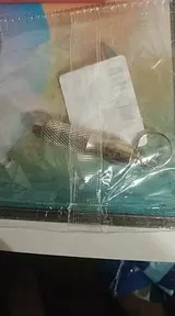 Anonym (UA) review photo