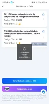 Anonym (MX) review photo
