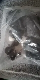 K***a (PL) review photo