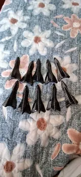 Anonym (PE) review photo