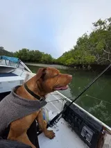Anonym (AU) review photo