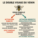 Vincent review photo
