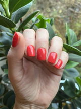 Malin review photo