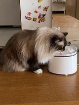 匿名 review photo