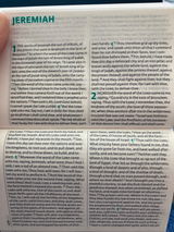 Ryan Brierley review photo