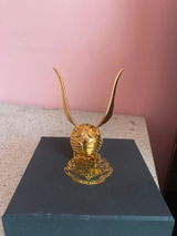 Luca B. review photo