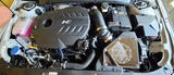 Elantra N.k.t.r. review photo