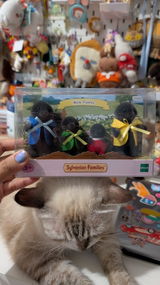 Lintang Nova review photo