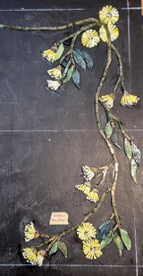 Suzy Lyons review photo