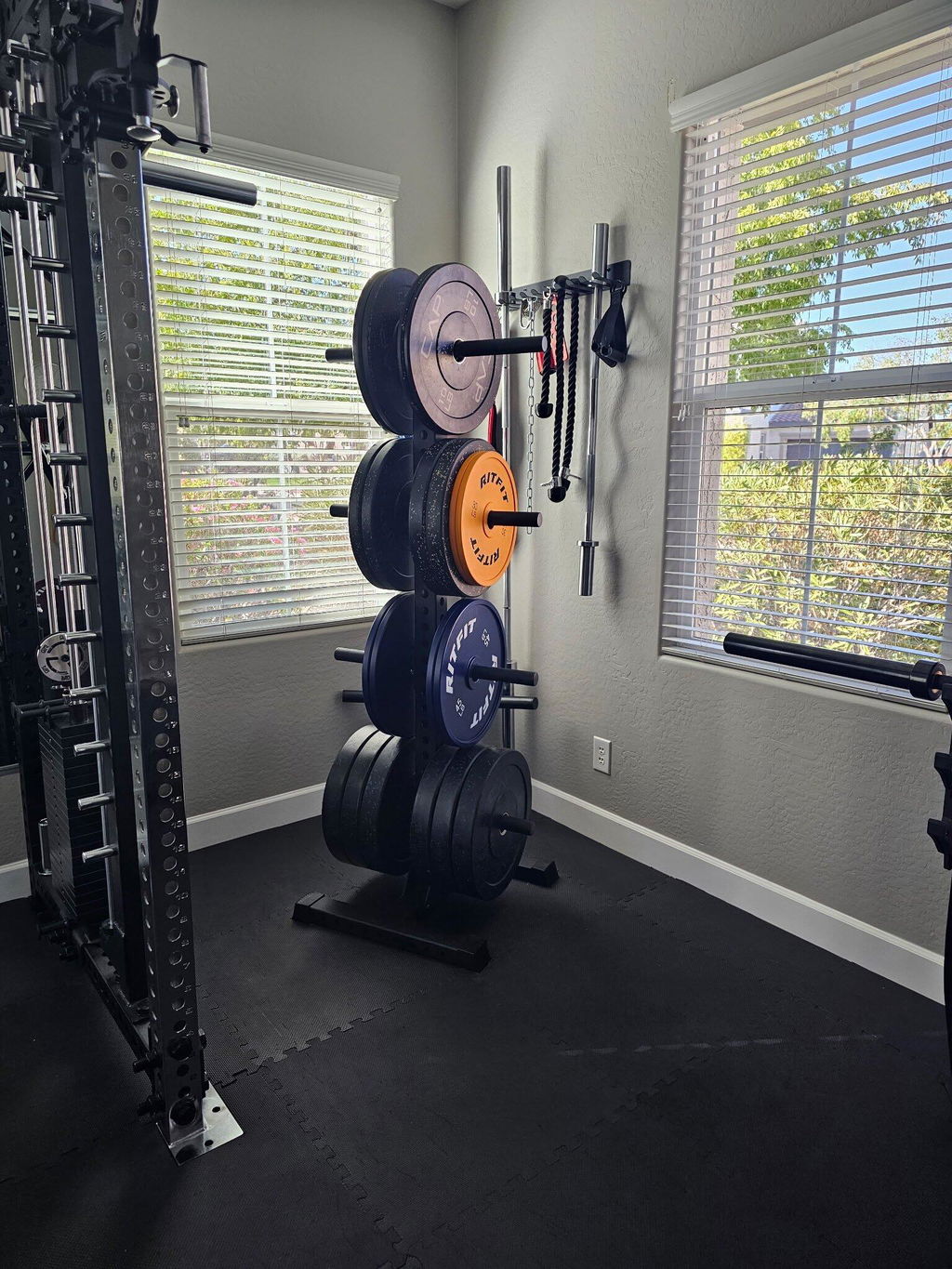 Delta PLT | 4-Tier Vertical Plate Tree
