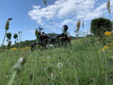悟 review photo