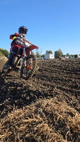 Fulton MotorSports Oh review photo