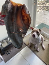 Customer review photo