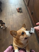 Etsy customer review photo