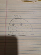 E. review photo