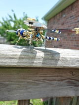 Hiram review photo