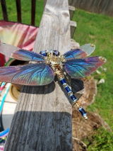 Hiram review photo