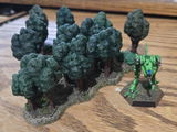 Diego review photo