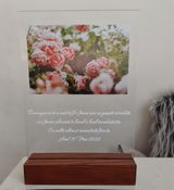 Barbu Anamaria review photo