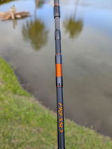 Jorge Gonzalez review photo
