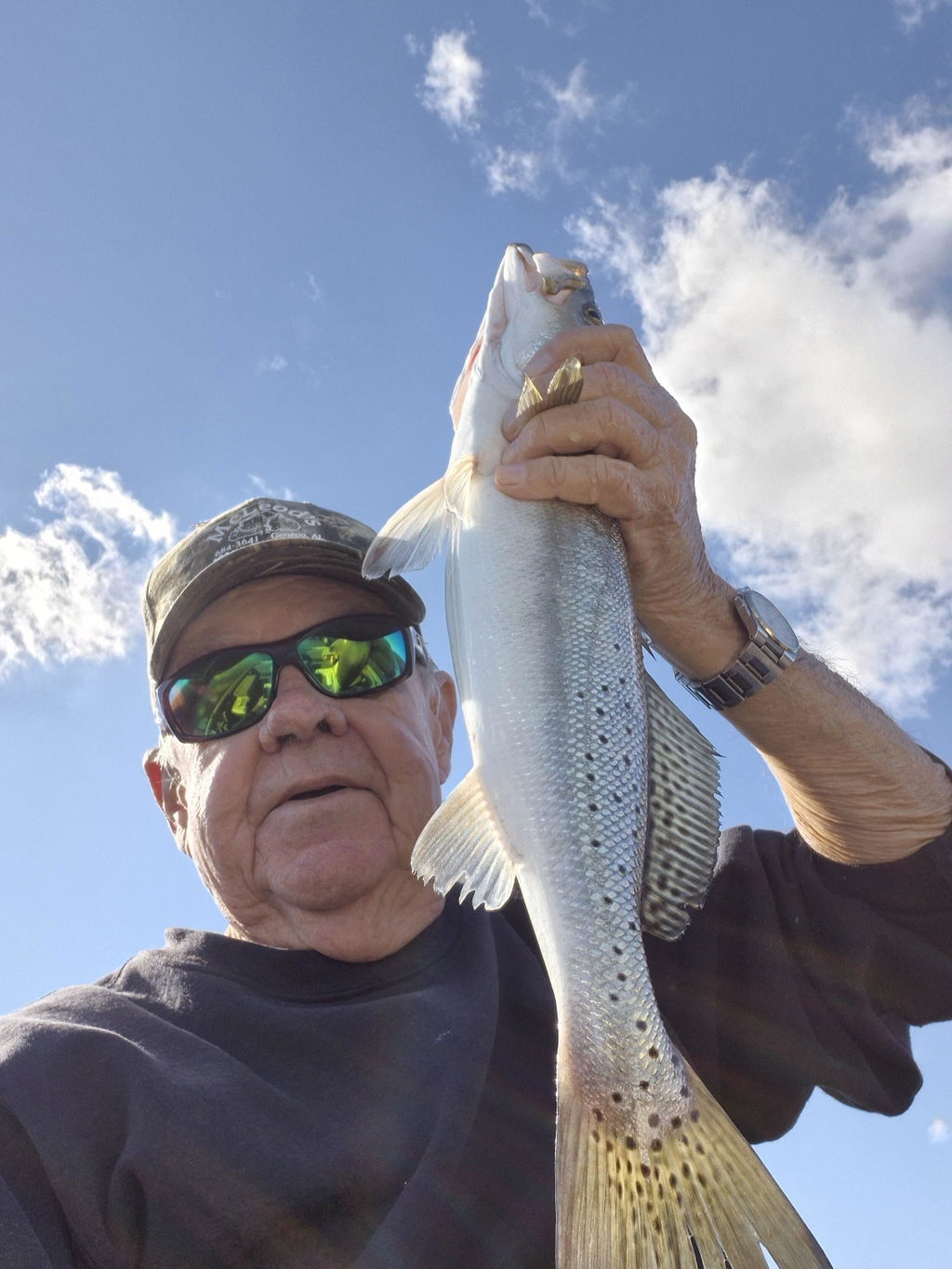 Matrix Mega Shad Soft Plastics