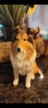 Tami97 review photo