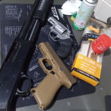 P review photo