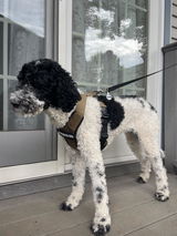 Robert Drake Sr review photo