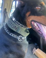 AstonDoberman review photo