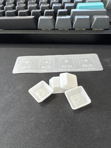 Steven Watts review photo