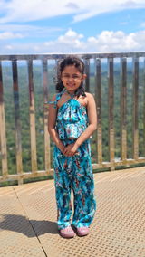 Anjaly review photo
