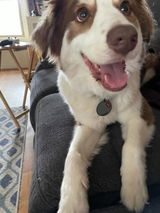 Etsy customer review photo