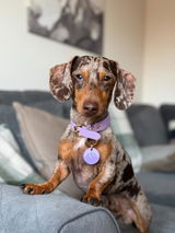 Etsy customer review photo