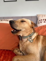 Etsy customer review photo