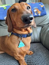 Etsy customer review photo